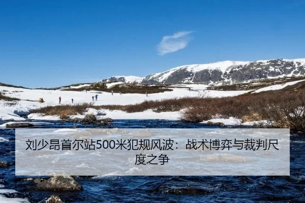 刘少昂首尔站500米犯规风波：战术博弈与裁判尺度之争