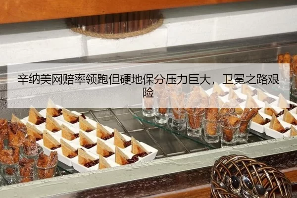 辛纳美网赔率领跑但硬地保分压力巨大，卫冕之路艰险