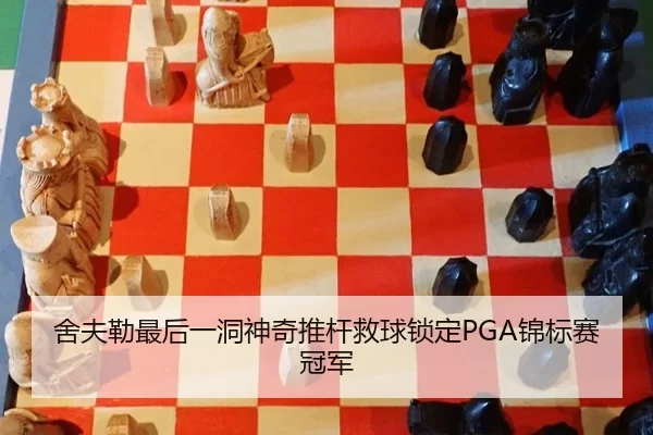 she-fu-lei-zui-hou-yi-dong-shen-qi-tui-gan-jiu-qiu-suo-ding-jin-biao-sai-guan-jun-2-493.jpg