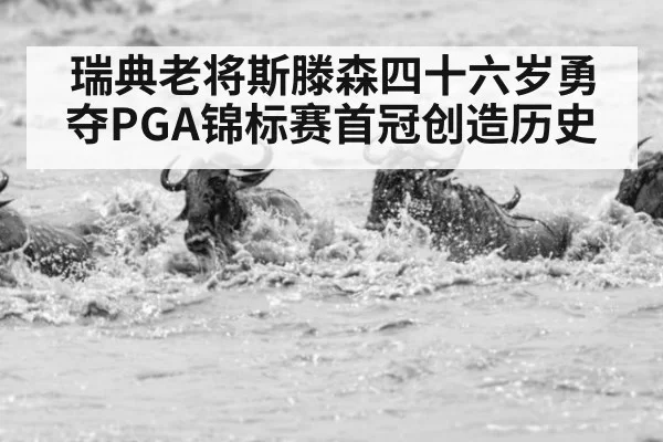 瑞典老将斯滕森四十六岁勇夺PGA锦标赛首冠创造历史