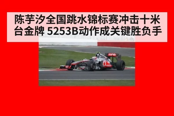 陈芋汐全国跳水锦标赛冲击十米台金牌 5253B动作成关键胜负手